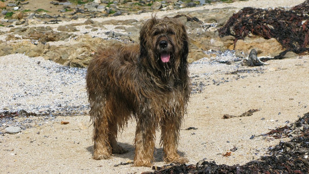 2014 Ile de Noirmoutiers (41)